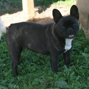 11.08-047-o9lq4nqvfbzm8d0z55qxw5x6jz26lkzjdwxfvy5z20