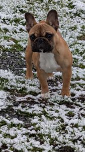 PXL_20251121_093016772