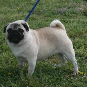 indezi-2016-o9lqgvnc9spt5v9zsfwcb2wwkatynxhx2e8ohg1q60