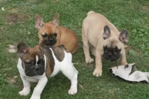 NORA-NISSIA-NAUREEN-qg12agr18qm9j8l8njvwxooz8xbuxn8u6qz48x55y2