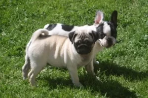 noumea-et-naty..-qg12agr18qm9j8l8njvwxooz8xbuxn8u6qz48x55y2